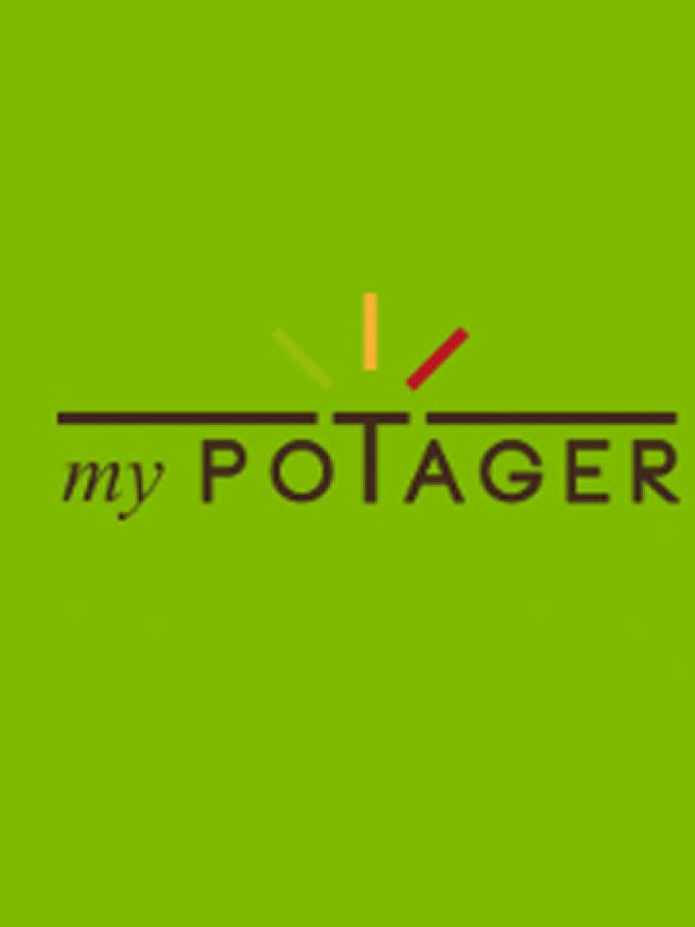 mypotager : grandes tables de potager en bois, durables et bio