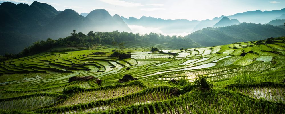 Photos du Vietnam