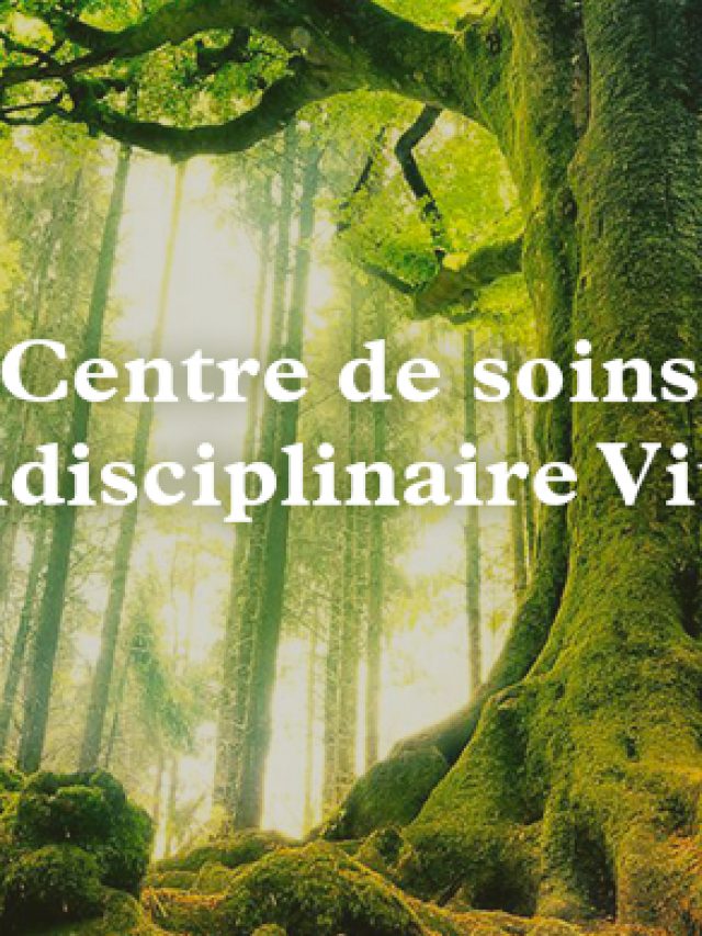 Centre Vitalys : Votre Destination Bien-Être à Waterloo – Soins Personnalisés, Cours Inspirants et Équilibre Global