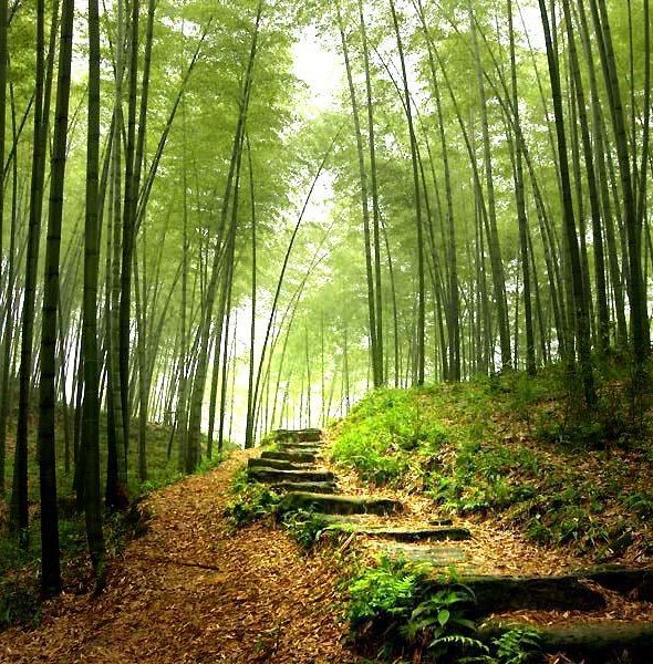 EFT pour tous ! &#8211; Theux &#8211; Liège